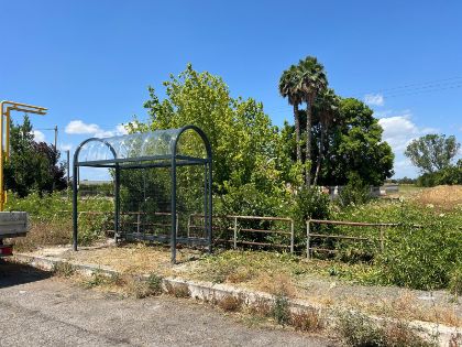 Pensiline autobus, l’assessore Di Cocco risponde al Question Time