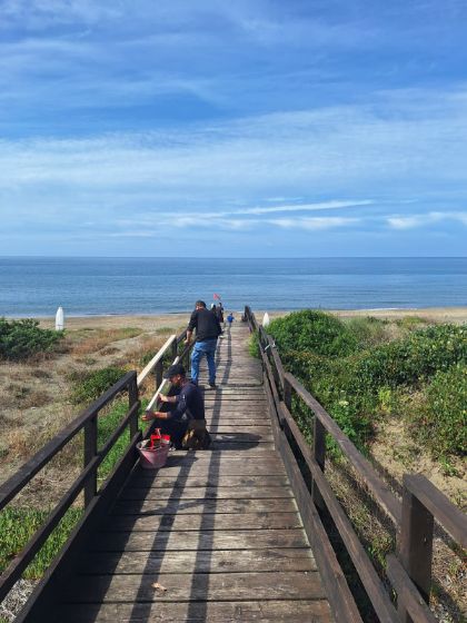 Litorale, al via la manutenzione di passerelle, camminamenti e docce: interventi completati entro metà maggio