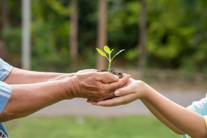 Immagine di Commissione Consiliare Ambiente