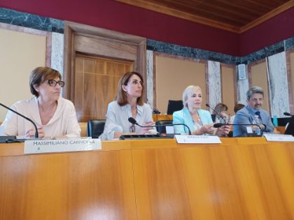 Piano di zona Saraceno, ok dal Consiglio comunale: previsti 104 nuovi alloggi Erp Piano di zona Saraceno, ok dal Consiglio comunale: previsti 104 nuovi alloggi Erp