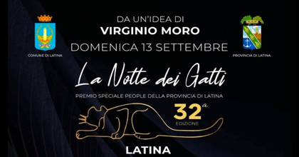 La Notte dei Gatti - 32esima edizione