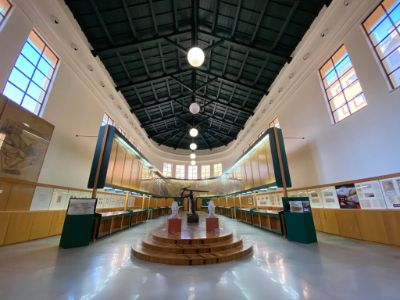 Museo Cambellotti - interno