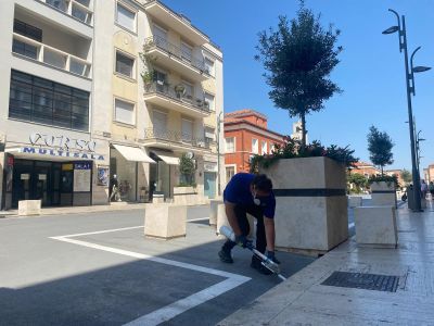 disinfestazione