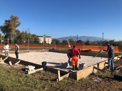 WhatsApp Image 2025-11-13 at 13.14.17