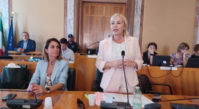 Sindaco in consiglio